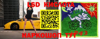 прущие грибы Балаково