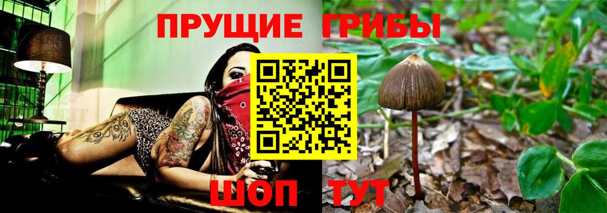 Галлюциногенные грибы Magic Shrooms Гусев